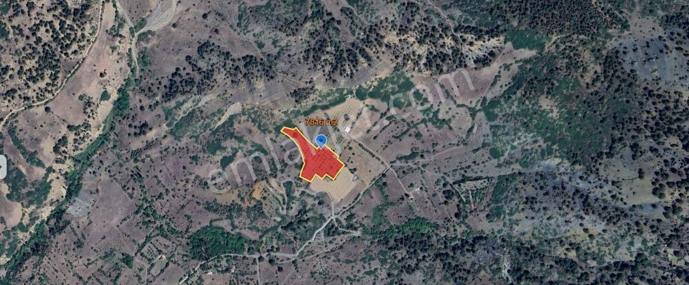 Fırsaaaaaat Fiyata Satılık 7816m2 Tarla Ceviz Bahçesi