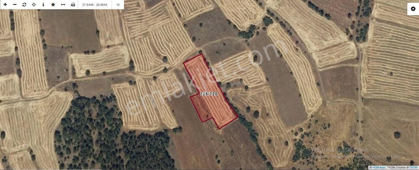 Çardak Söğüt'te Satılık 4318 Metrekare Tarla