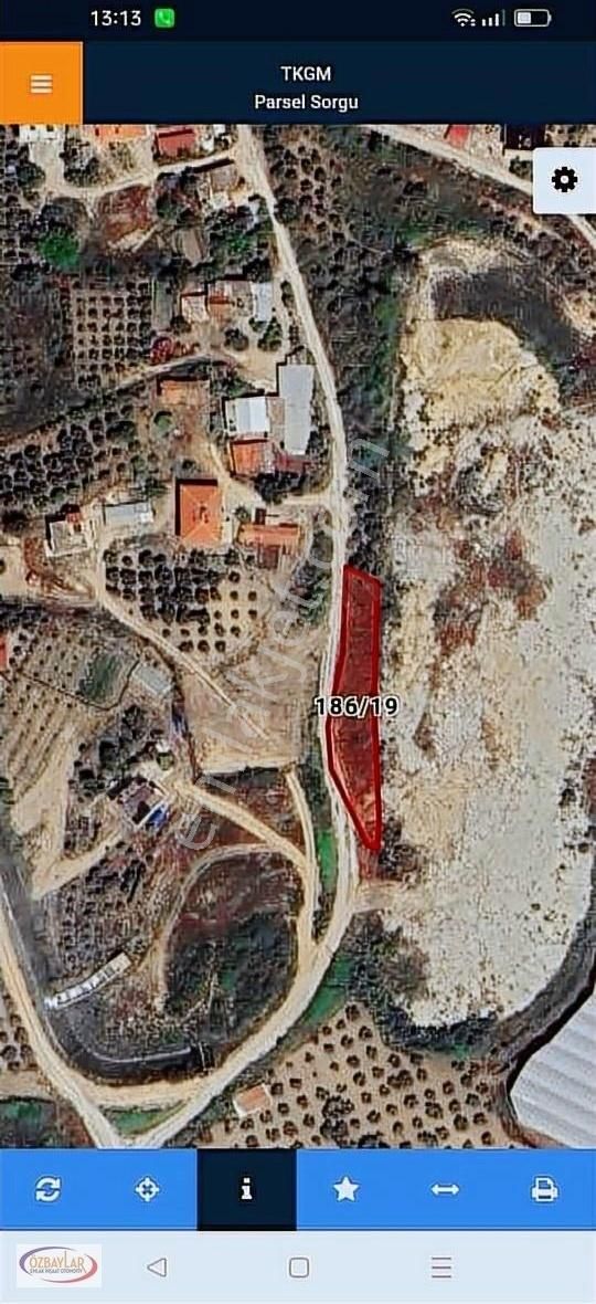 Antalya Manavgat Kalemlerde Satılık Köy İçi Zeytin Bahcesi