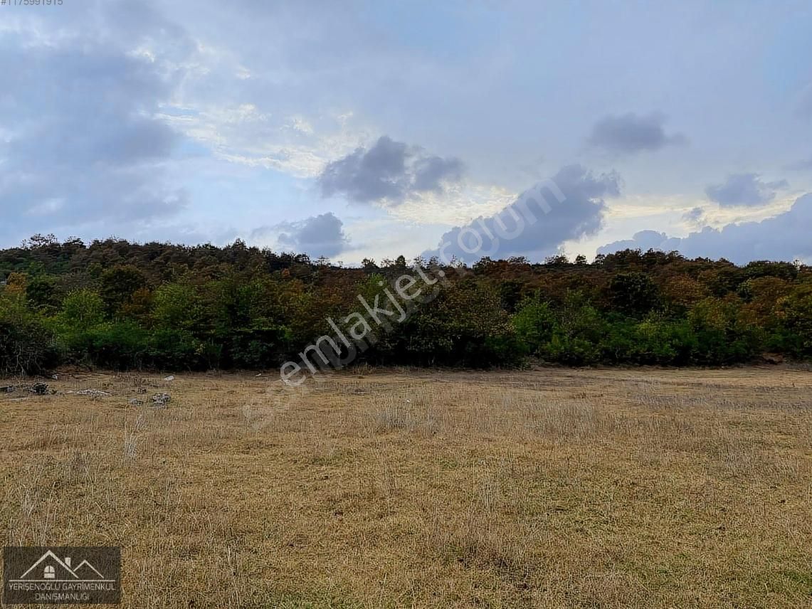 Şile Hasanlı Sarıkavak Satılık Arsa-yolu Açık-2512m2