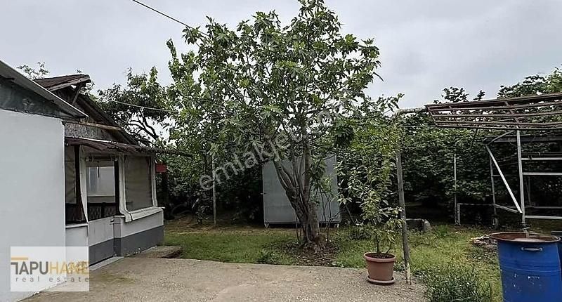 Tapuhane'den Kiralık Tek Katlı Müstakil Ev
