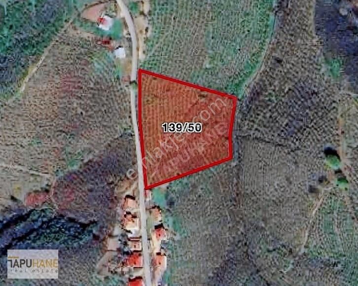 Tapuhane'den 7820 M2 Tamamı İmarlı Satılık Fındıklk