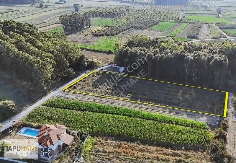 Tapuhane ' Den Aşağı Çalıca Mah. De 3905 M2 Satılık Arsa !!!