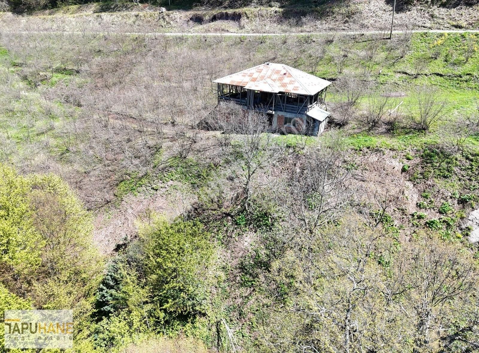 Tapuhane'den Satılık Fındık Bahçesi Ve Ev