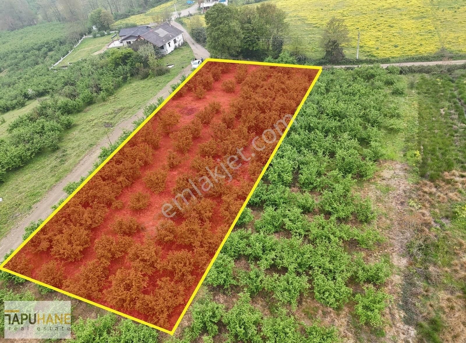 Yeşilvadi Köy Merkezinde Satılık Bir Dönüm İmarlı Arsa