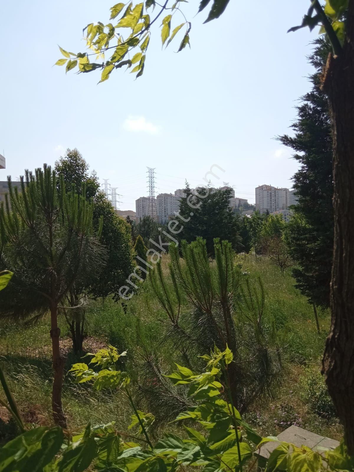 Yuva Emlaktan Kayaşehir 8 .bölgede Satılık Fırsat 85 M2 Tapulu Daire - Görsel 11