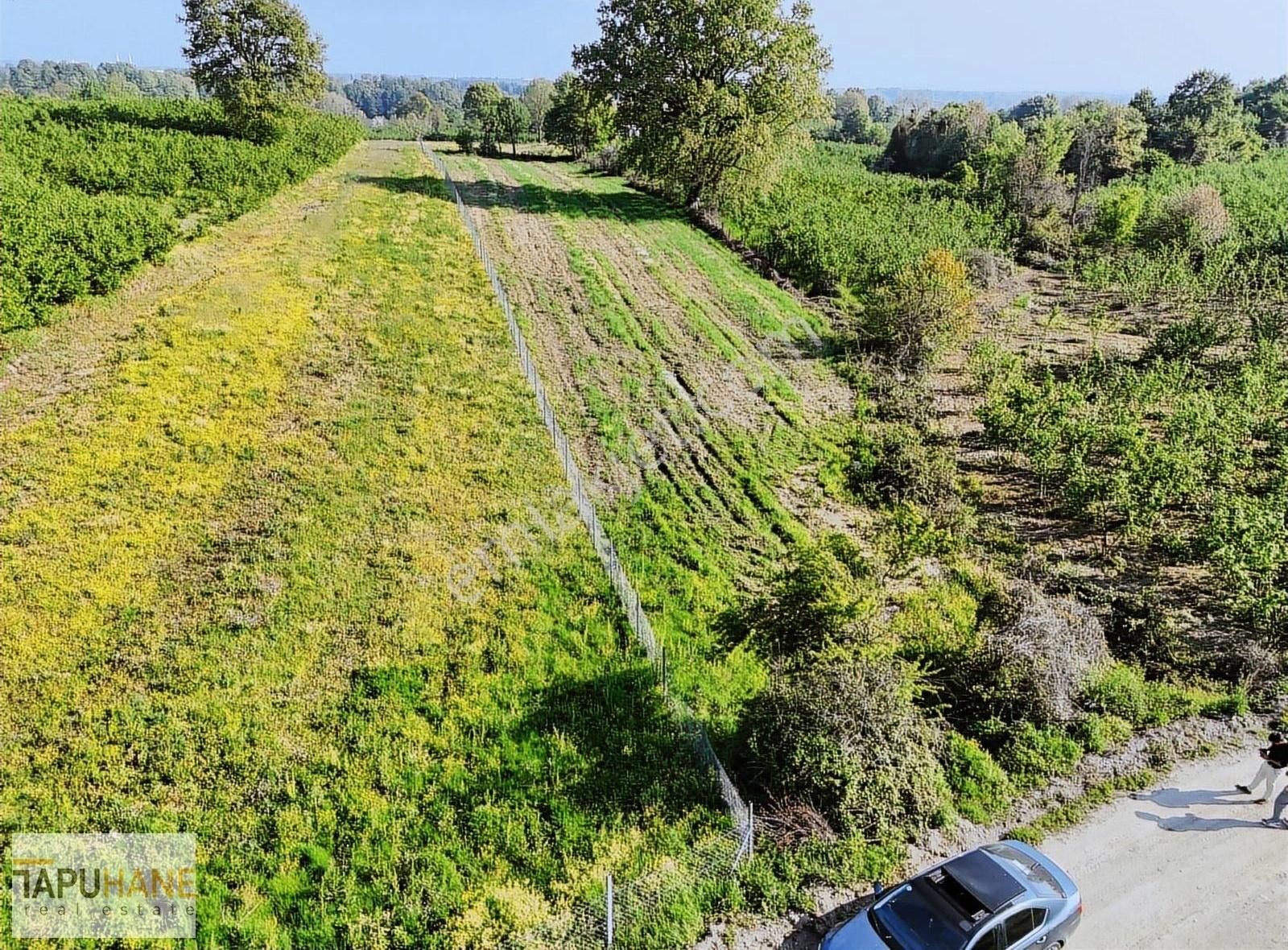 Tapuhane'den Lütfiyeköşk Köyünde Satılık 3500 M2 Arsa