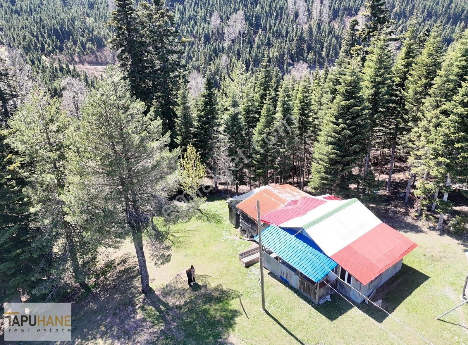 Tapuhane'den Çiğdem Yaylasında Satılık Yayla Evi