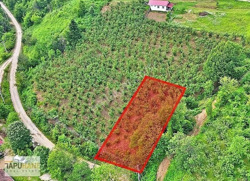 Tapuhane ' Den Karadere Mah. De İmarlı 1240 M2 Satılık Arsa