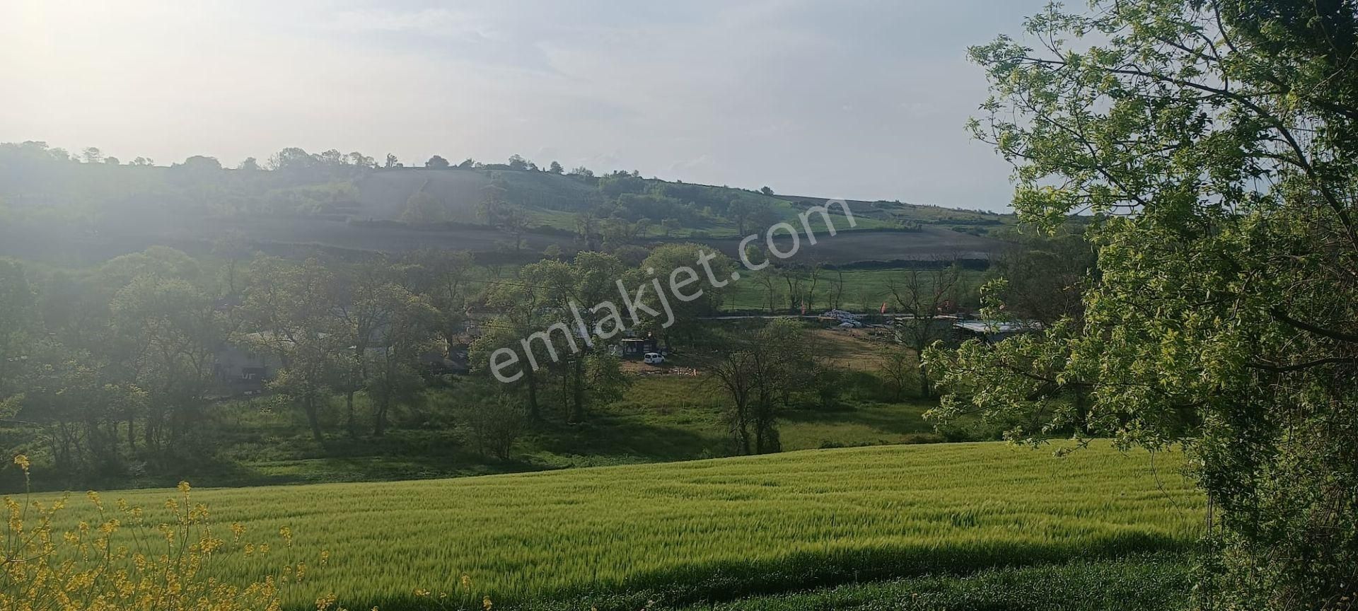 Baklalı Toki Manzaralı, Zirve Konumda, Çaplı Çevrilebilir 164 M2 - Görsel 4