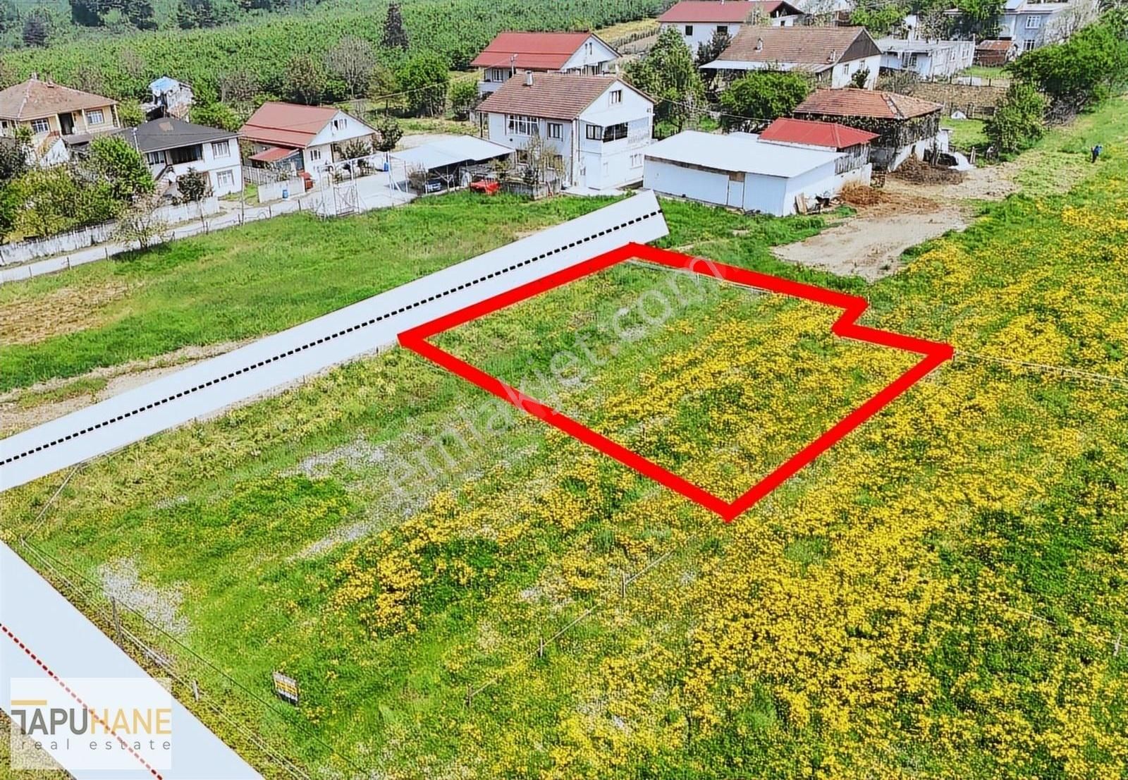 Tapuhane'den Satılık 530 M2 İmnarlı Arsa