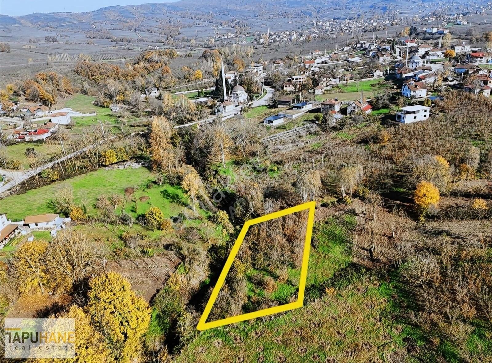 Tapuhane 'den 1200 M2 İmarlı Arsa