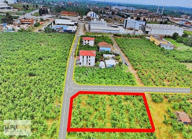 Tapuhane'den Büyükdere'de 817 M2 Köşe Parsel