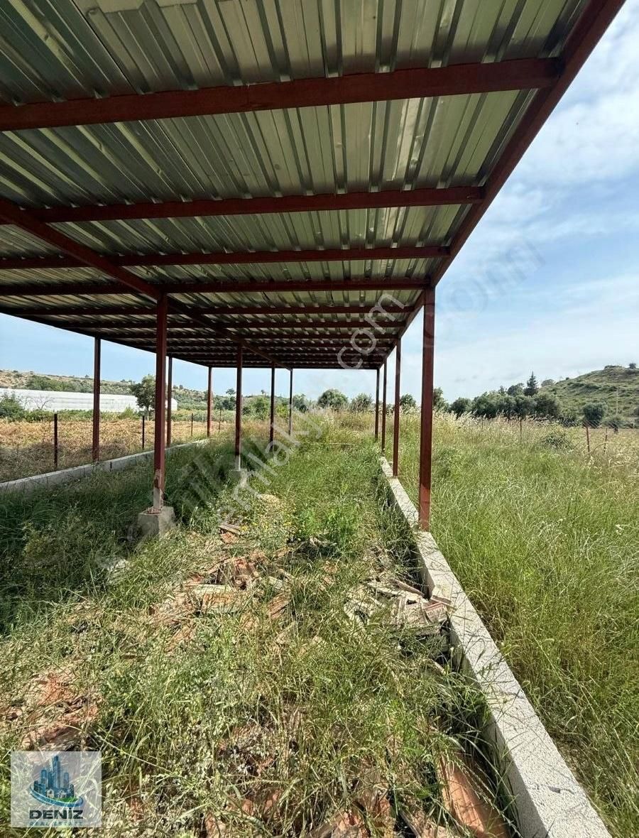 Merkeze Yakın Tarla