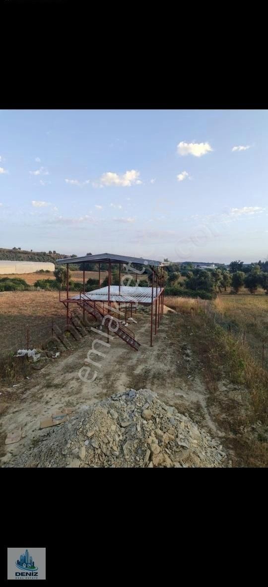 Merkeze Yakın Tarla - Görsel 3