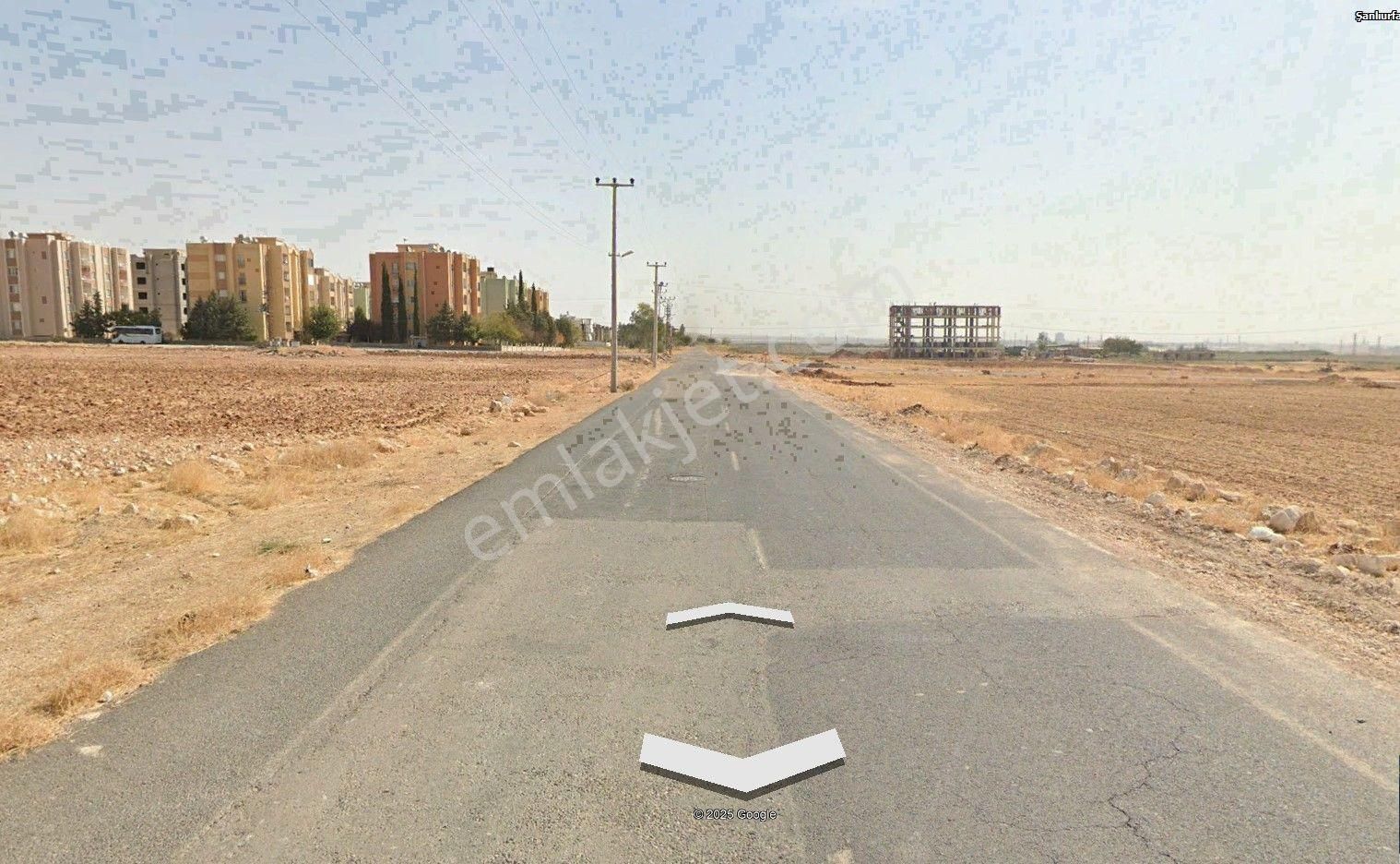 Yaşarsoy Gyo'dan Haliye Dağeteği Yeşil Urfada Uygun Arsa