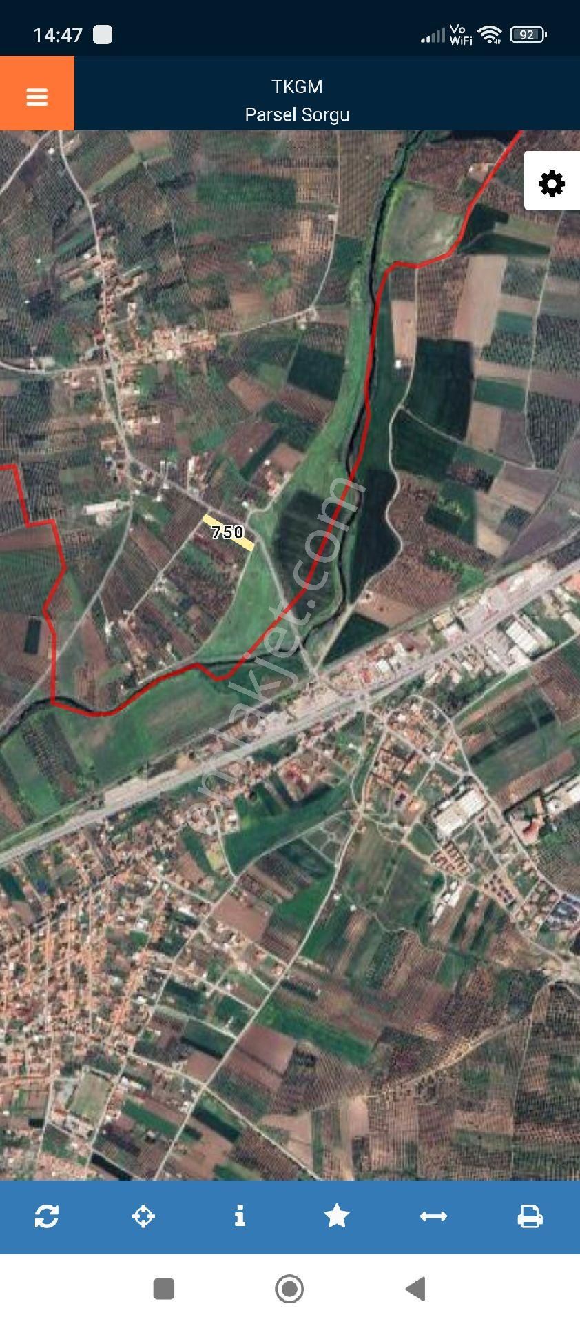 Akhisar Doğuca Mahallesinde Satılık Zeytinlik