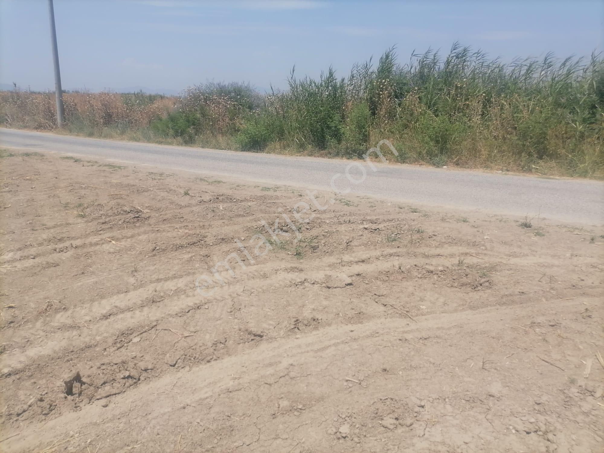 Nalbantlar Köyü Sökede Satılık Tarla - Görsel 9