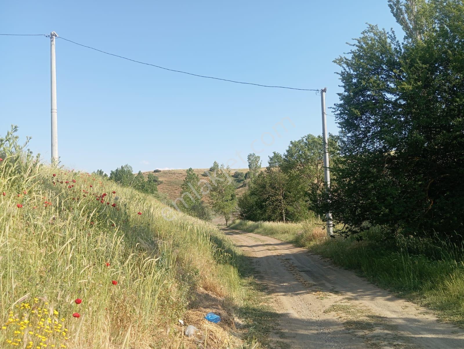 Century 21 Vizyon'dan Uludere Mahallesinde 1291 M2 Satılık Tarla - Görsel 13