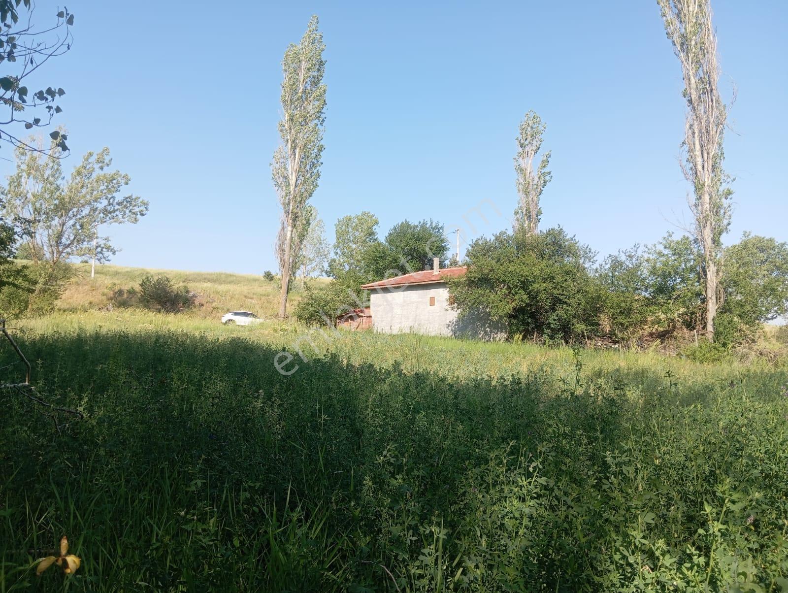 Century 21 Vizyon'dan Uludere Mahallesinde 1291 M2 Satılık Tarla - Görsel 21