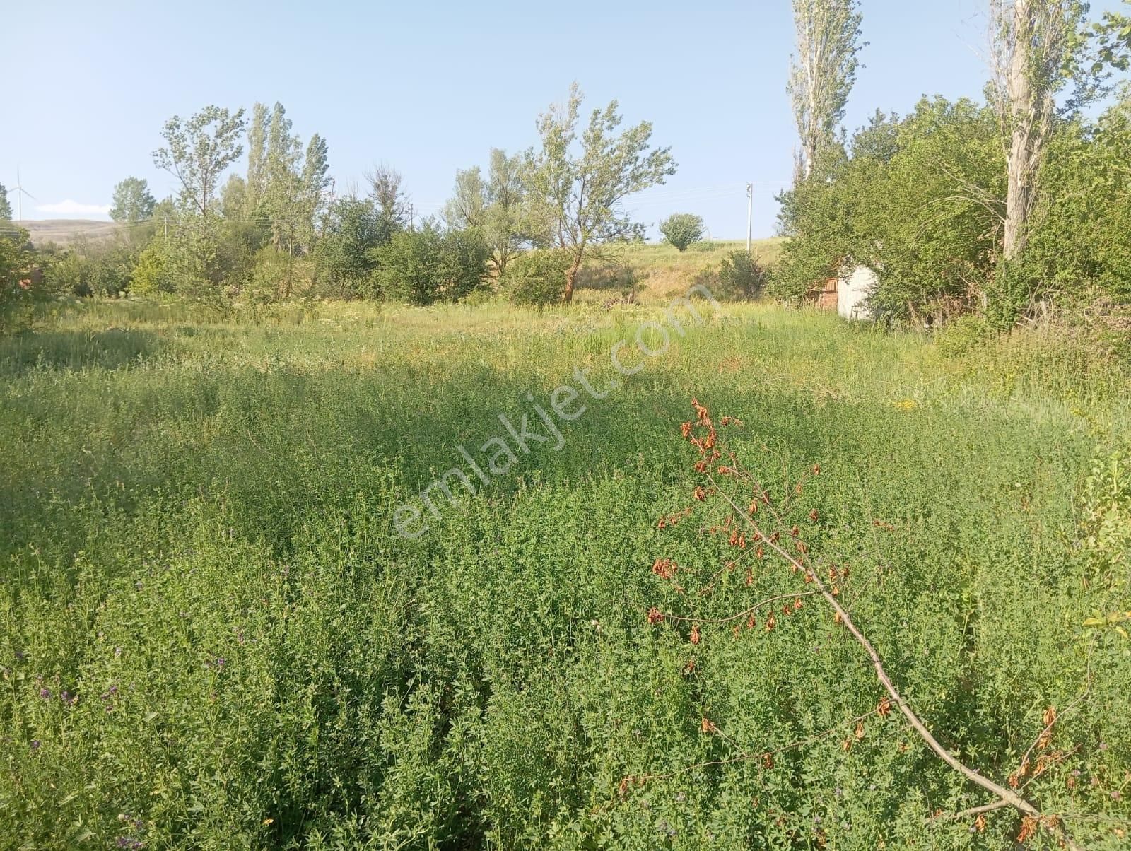 Century 21 Vizyon'dan Uludere Mahallesinde 1291 M2 Satılık Tarla