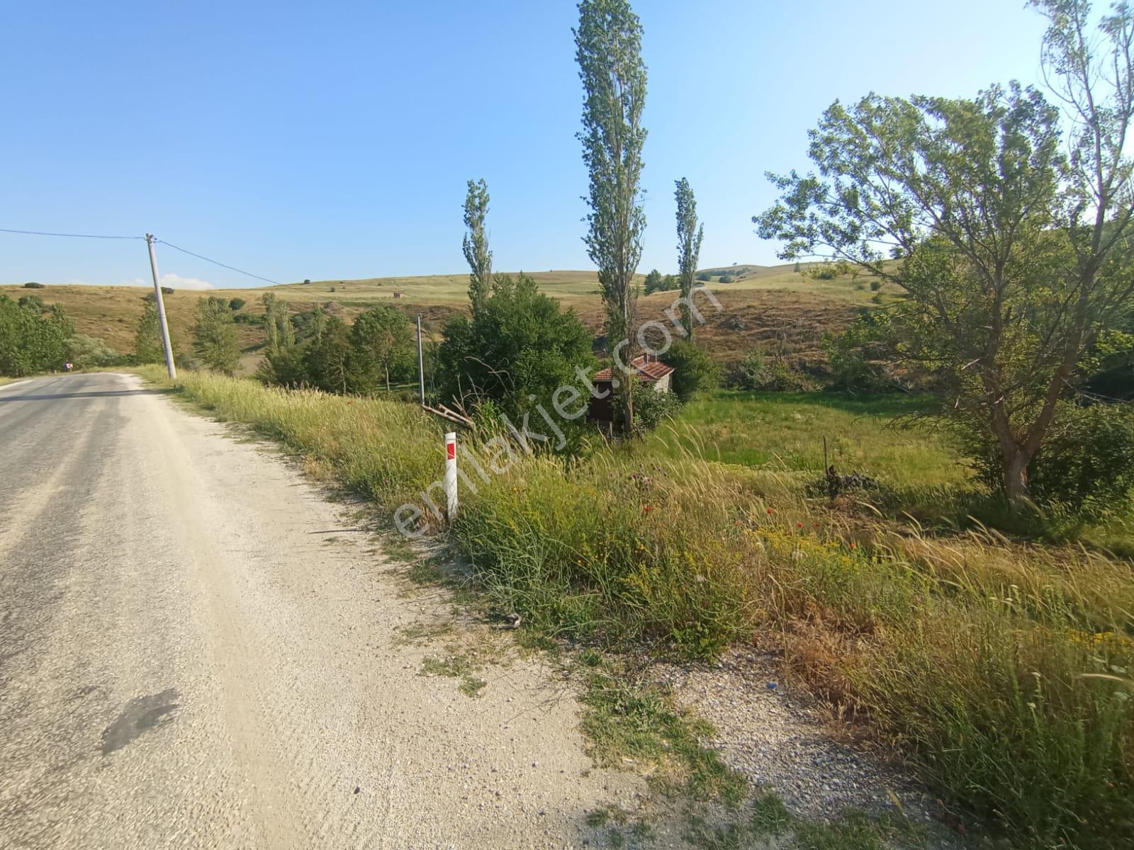 Century 21 Vizyon'dan Uludere Mahallesinde 1291 M2 Satılık Tarla - Görsel 9