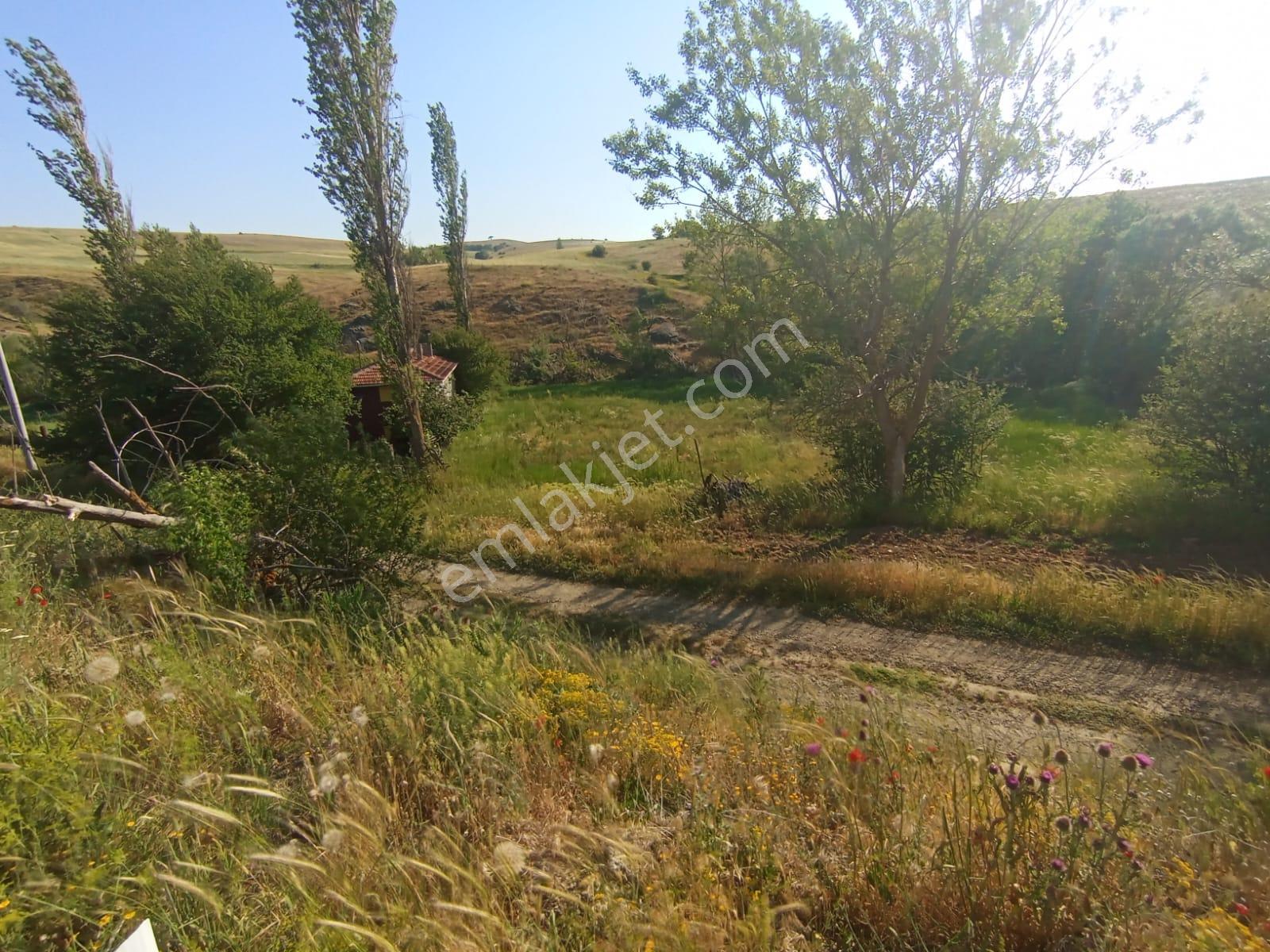 Century 21 Vizyon'dan Uludere Mahallesinde 1291 M2 Satılık Tarla - Görsel 15