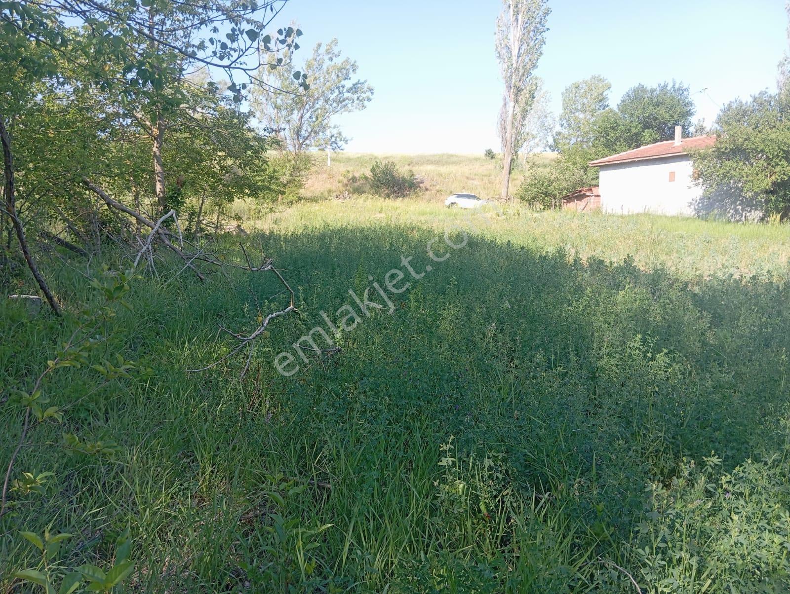 Century 21 Vizyon'dan Uludere Mahallesinde 1291 M2 Satılık Tarla - Görsel 23