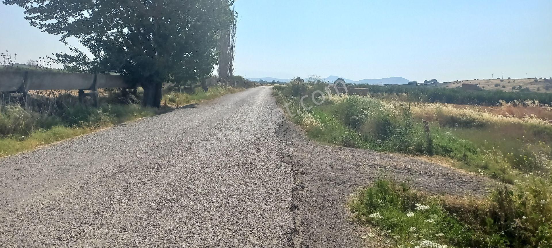 İzmir Foça Gerenköy'de Kendi Yolu Olan Köye Ve Toplu Taşımaya Yakın Tarla