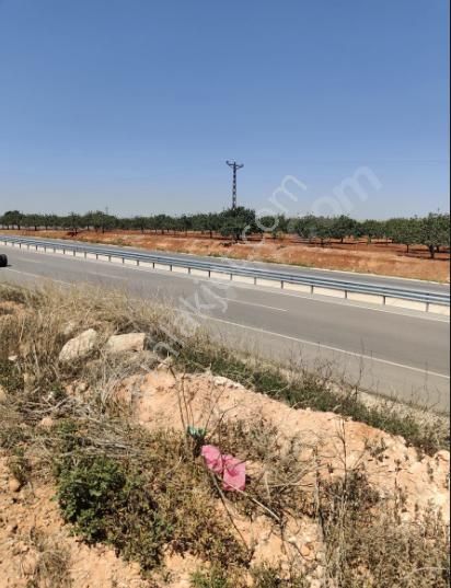 Dutlu - Nizip 'de Satılık D400 Karayoluna Sıfır Arazi