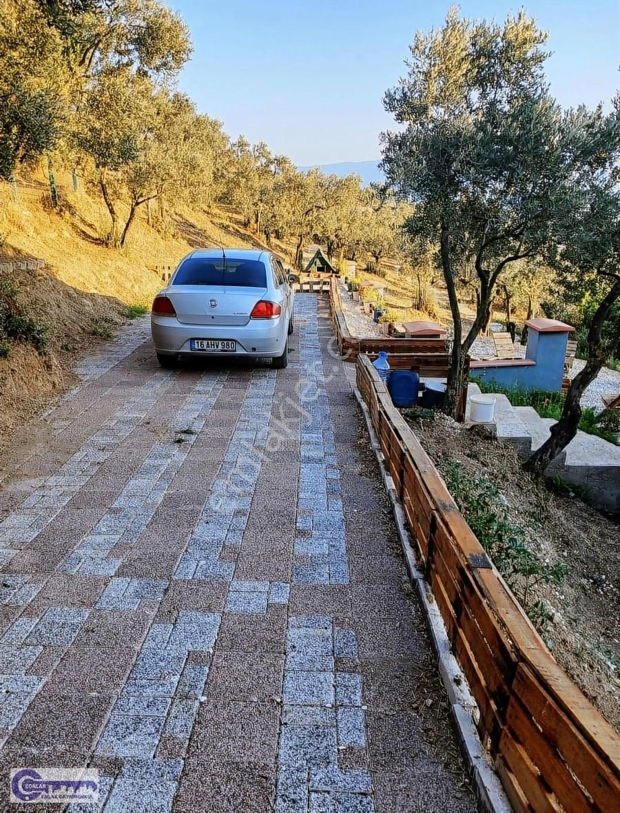 Çoklar Emlak Gayrimenkul - Fotoğraflar Herşeyi Anlatıyor - Görsel 22