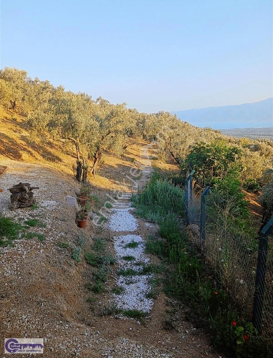 Çoklar Emlak Gayrimenkul - Fotoğraflar Herşeyi Anlatıyor - Görsel 3