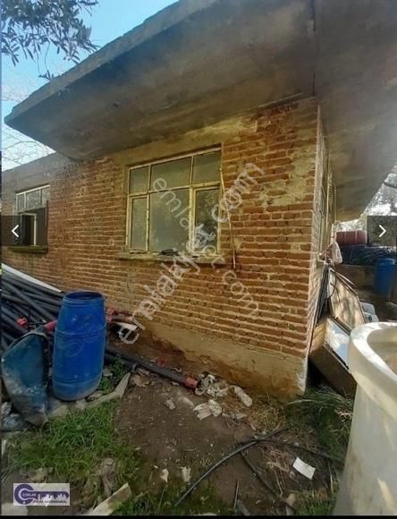Çoklar Emlak'tan Göle Sıfır Konumda İki Cephesi Yol Zeytinlik - Görsel 16