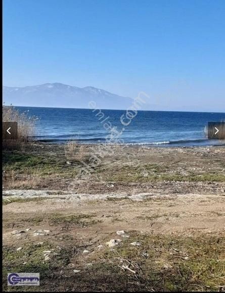 Çoklar Emlak'tan Göle Sıfır Konumda İki Cephesi Yol Zeytinlik