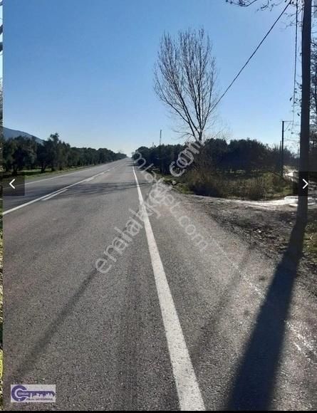 Çoklar Emlak'tan Göle Sıfır Konumda İki Cephesi Yol Zeytinlik - Görsel 10
