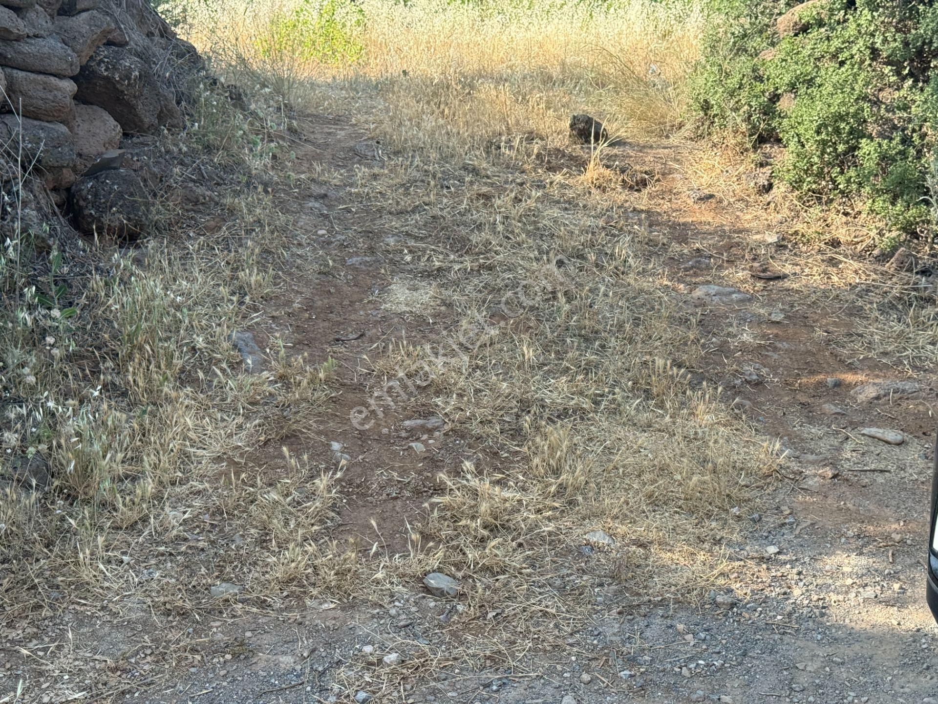Yankı'dan Hassa Ardıçlı Hacılar Köyü Yolu Üzeri 2.350 M2 Müstakil Tarla - Görsel 23