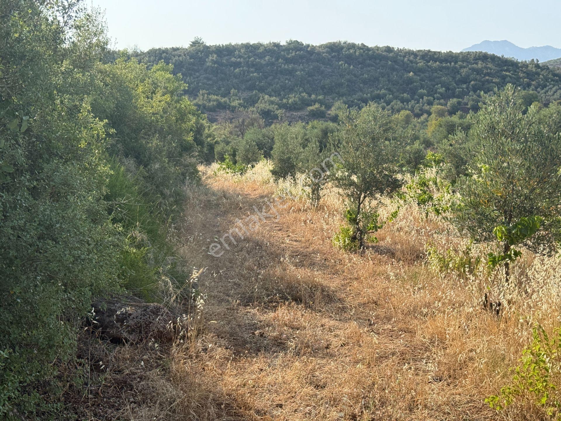 Yankı'dan Hassa Ardıçlı Hacılar Köyü Yolu Üzeri 2.350 M2 Müstakil Tarla - Görsel 20