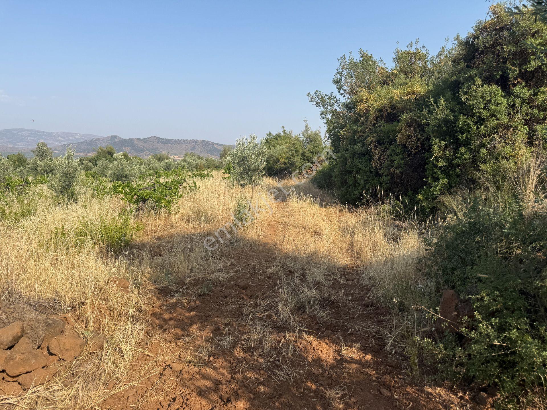 Yankı'dan Hassa Ardıçlı Hacılar Köyü Yolu Üzeri 2.350 M2 Müstakil Tarla - Görsel 21