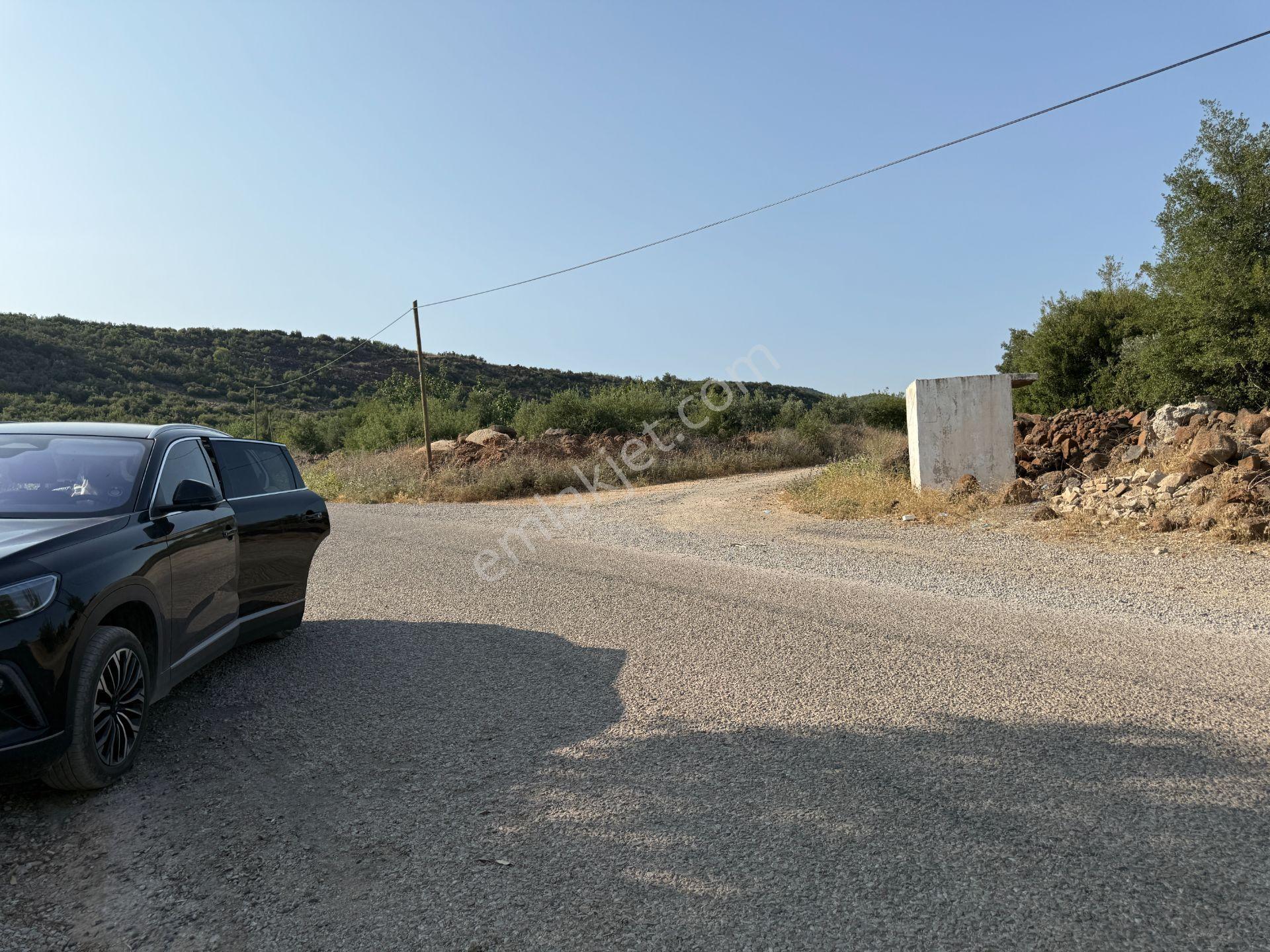 Yankı'dan Hassa Ardıçlı Hacılar Köyü Yolu Üzeri 2.350 M2 Müstakil Tarla - Görsel 6