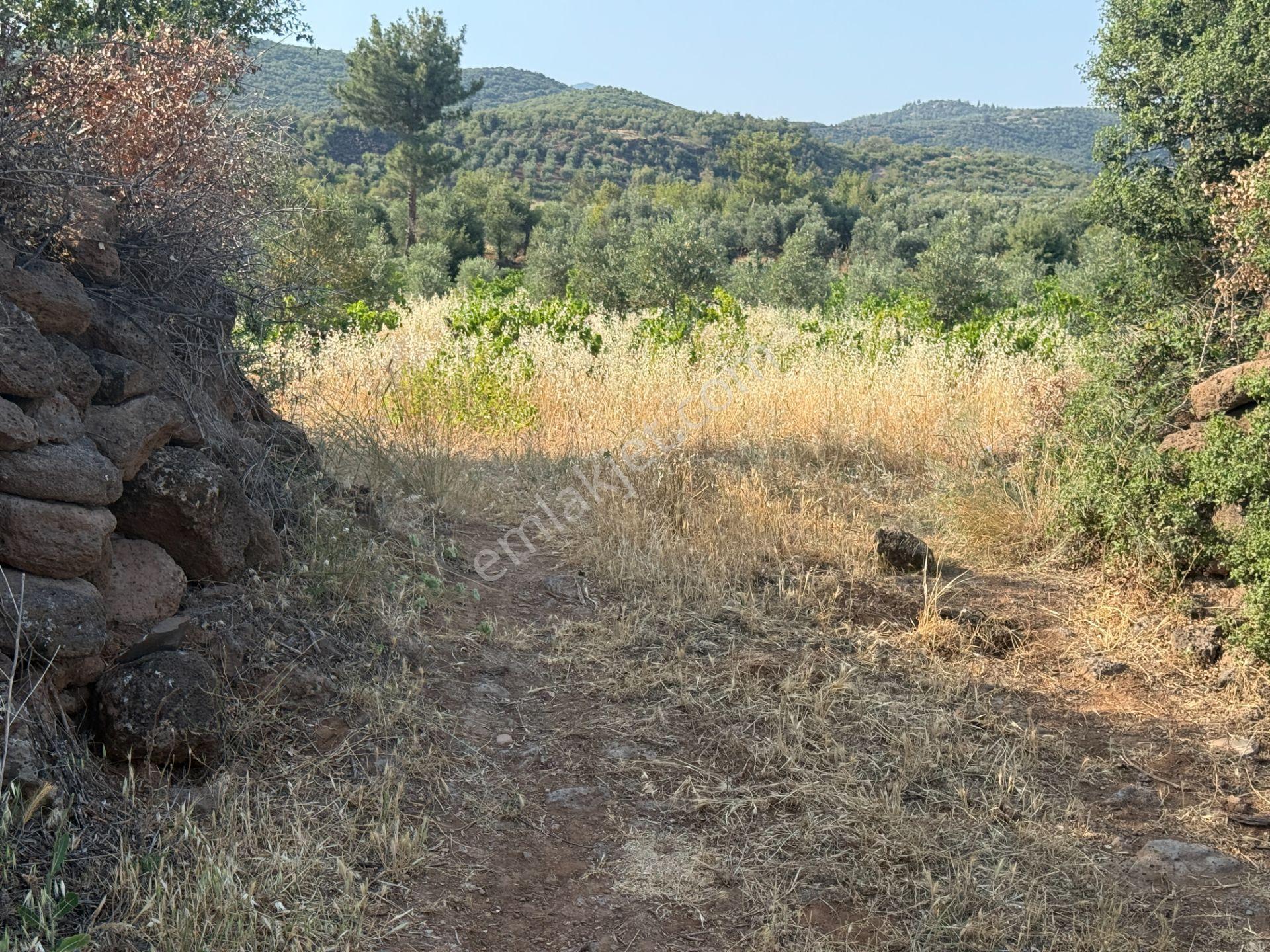 Yankı'dan Hassa Ardıçlı Hacılar Köyü Yolu Üzeri 2.350 M2 Müstakil Tarla - Görsel 22