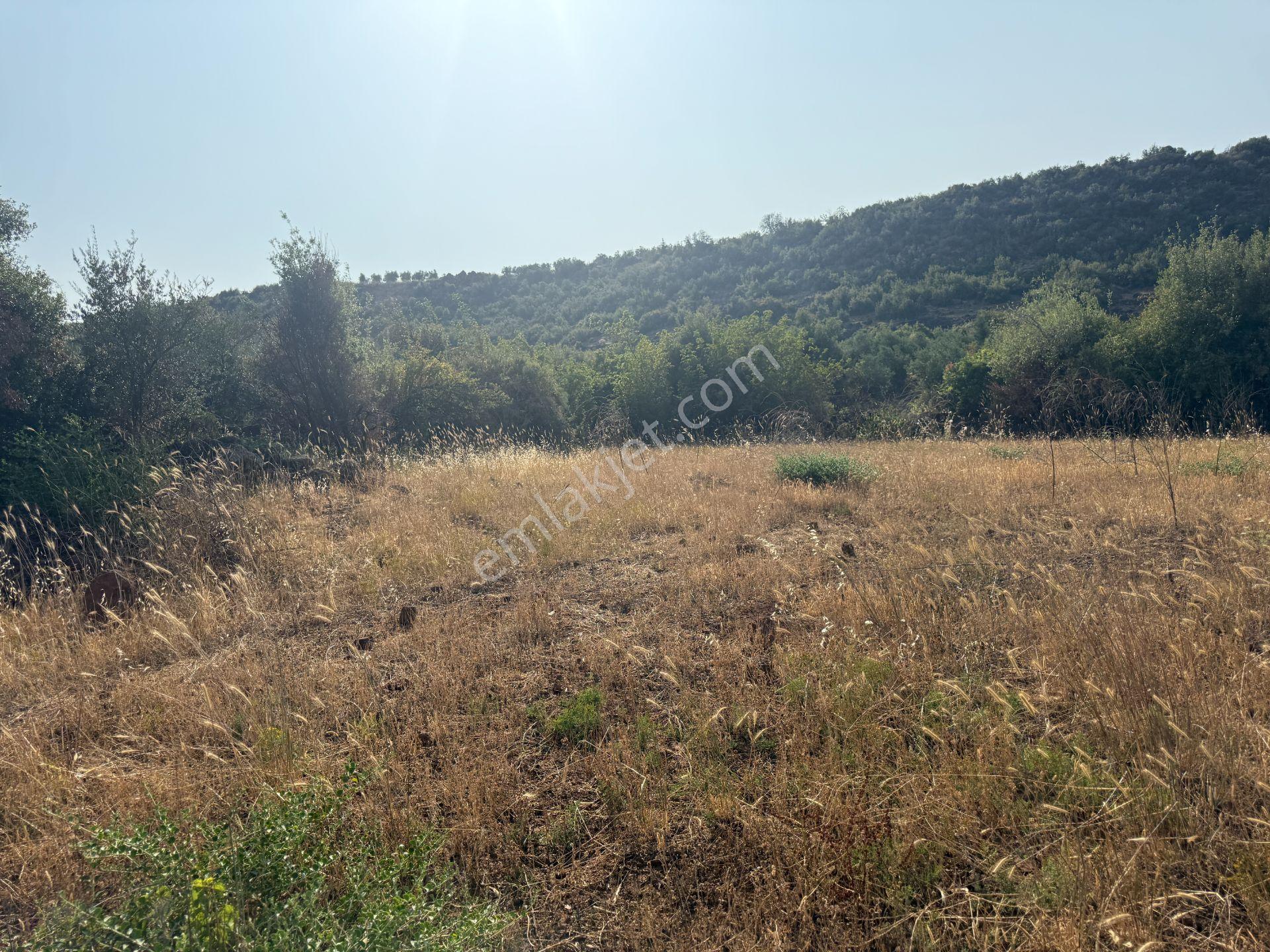 Yankı'dan Hassa Ardıçlı Hacılar Köyü Yolu Üzeri 2.350 M2 Müstakil Tarla - Görsel 10