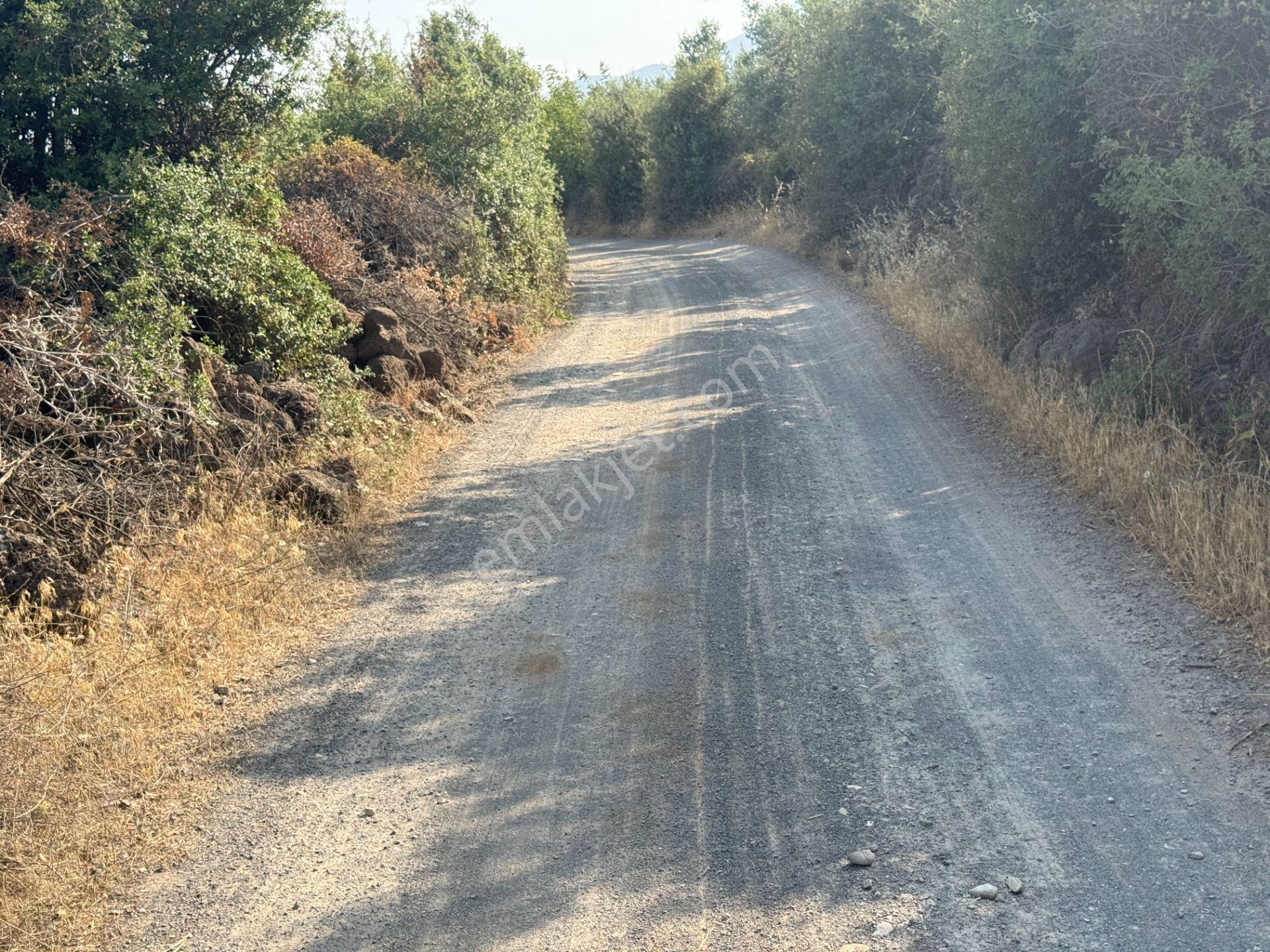 Yankı'dan Hassa Ardıçlı Hacılar Köyü Yolu Üzeri 2.350 M2 Müstakil Tarla - Görsel 25