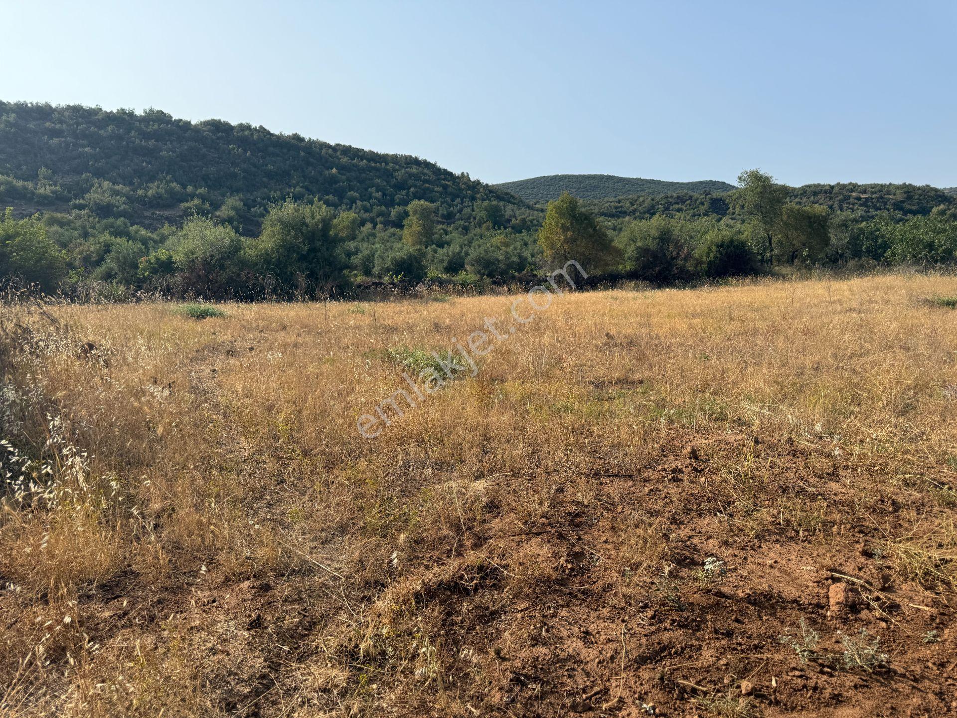 Yankı'dan Hassa Ardıçlı Hacılar Köyü Yolu Üzeri 2.350 M2 Müstakil Tarla - Görsel 15