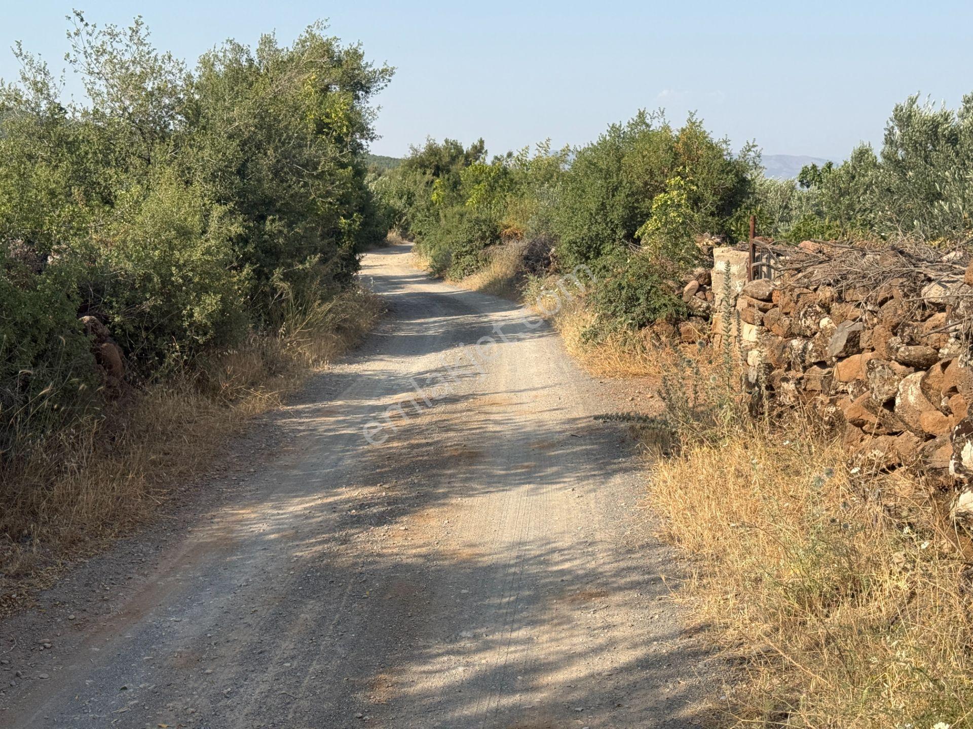 Yankı'dan Hassa Ardıçlı Hacılar Köyü Yolu Üzeri 2.350 M2 Müstakil Tarla - Görsel 26