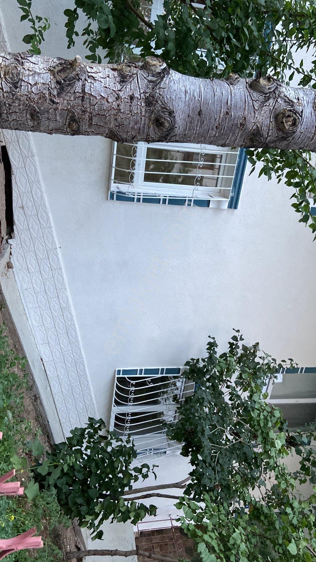 Hastaneler Okullar Marketler Caddeler Metro Ulaşım - Görsel 3