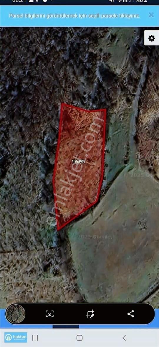 Samsun Canik Gürgenyatak'ta 1613 M2 Tarla Satılık Fındıklık