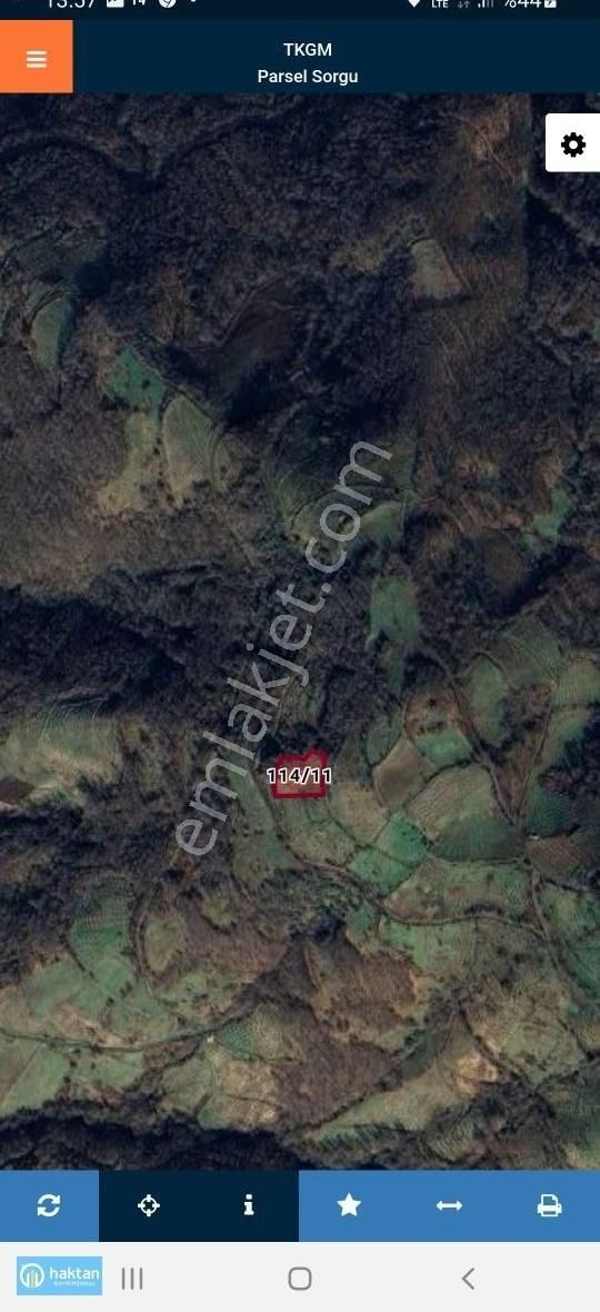 Samsun Canik Gürgenyatak'ta 2870 M2 Satılık Tarla Fındık Bahçesi - Görsel 2