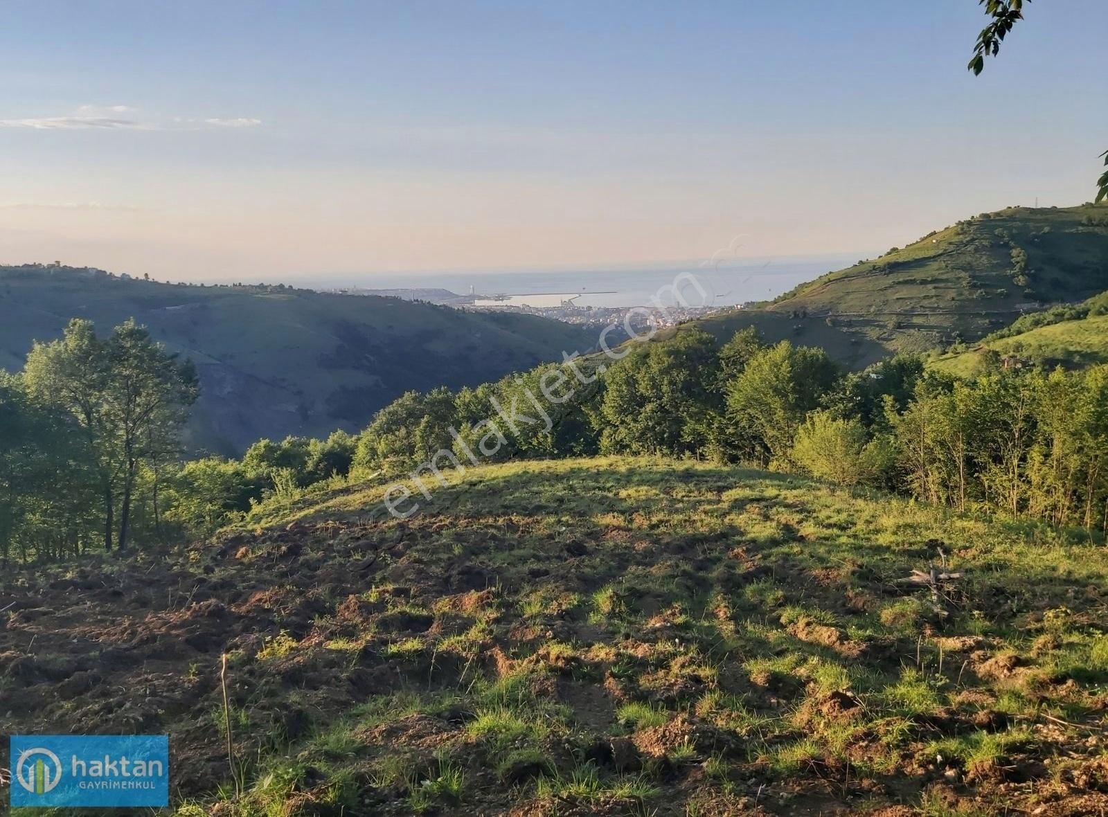 Samsun Canik Gürgenyatak Orman İçinde Manzaralı Satılık Tarla - Görsel 6