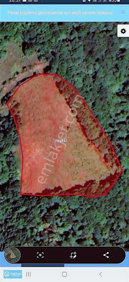 Samsun Canik Gürgenyatak Orman İçinde Manzaralı Satılık Tarla - Görsel 8