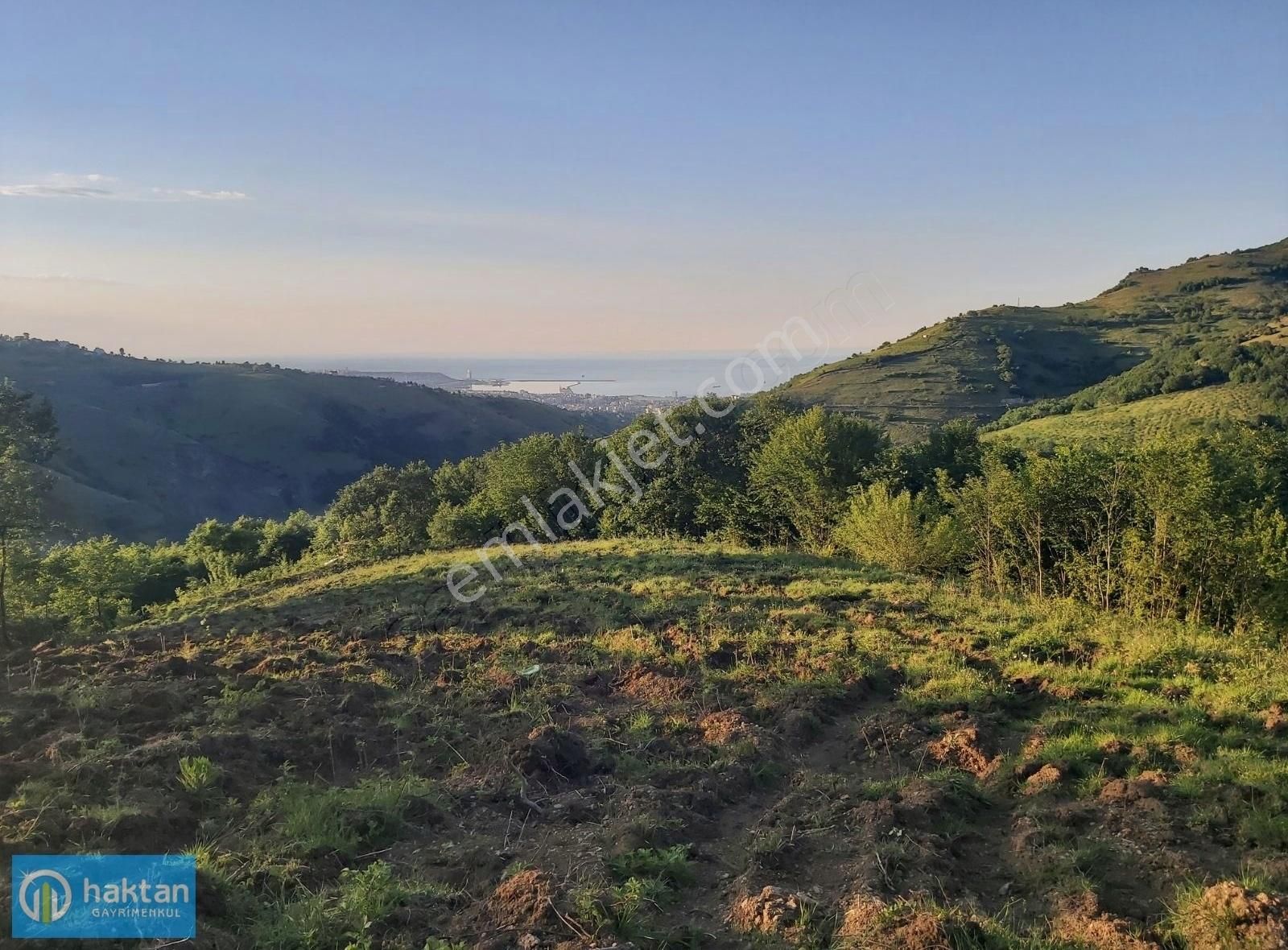 Samsun Canik Gürgenyatak Orman İçinde Manzaralı Satılık Tarla - Görsel 10